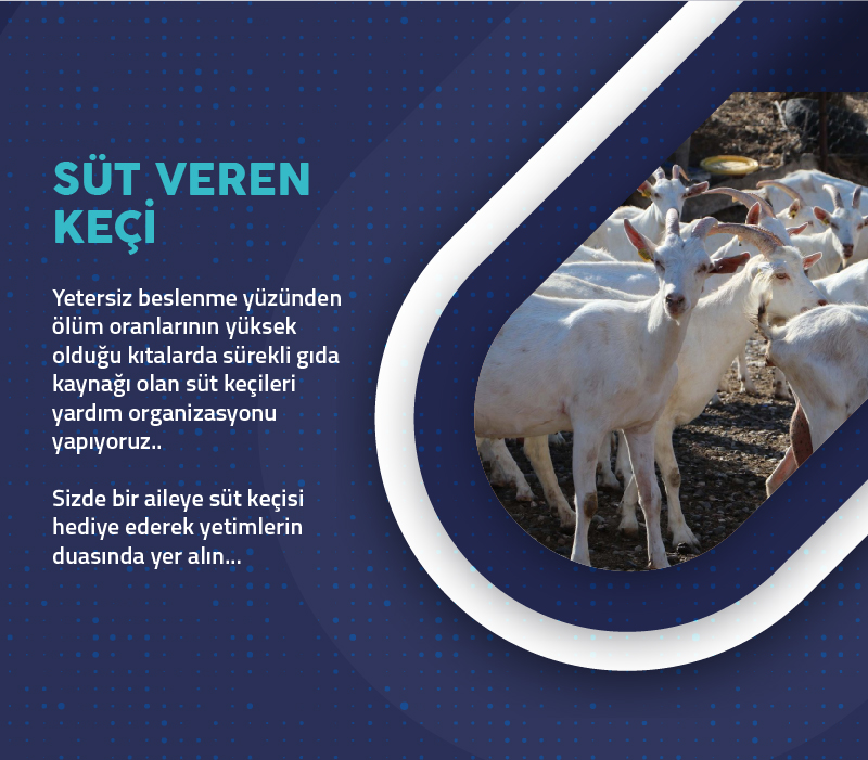 Süt Veren Keçi Projesi
